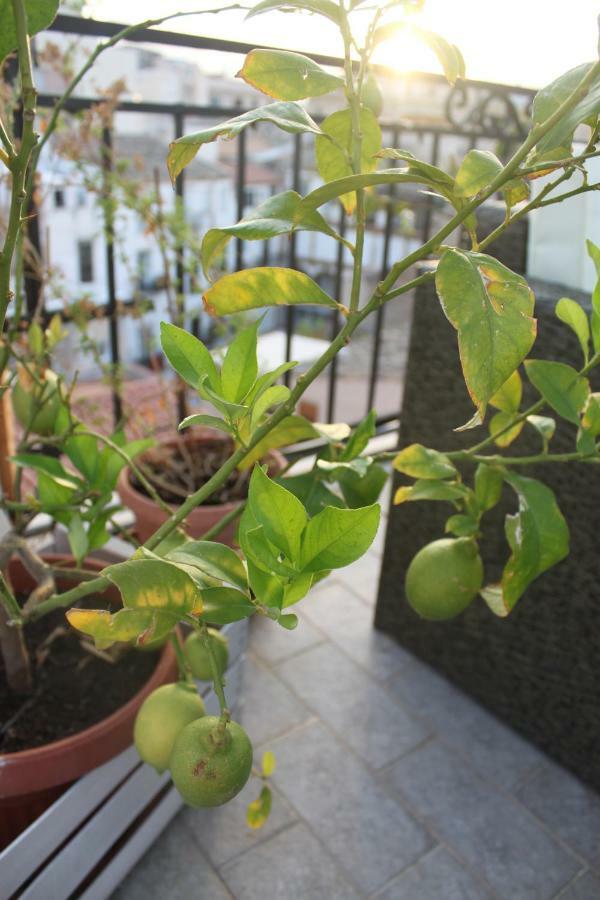 Dimore De La Rosa باليرمو المظهر الخارجي الصورة