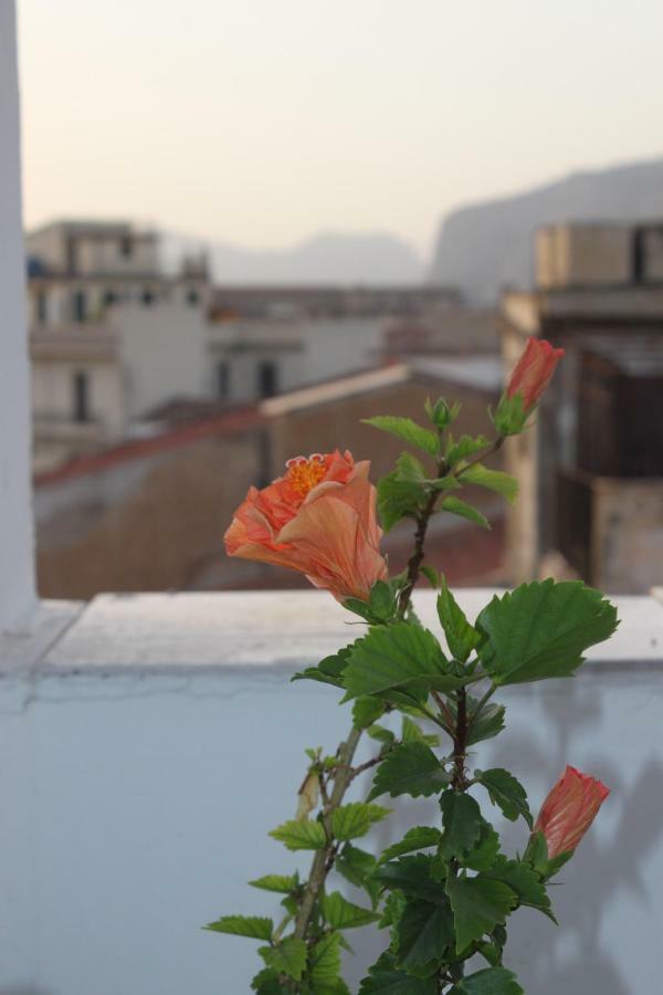 Dimore De La Rosa باليرمو المظهر الخارجي الصورة